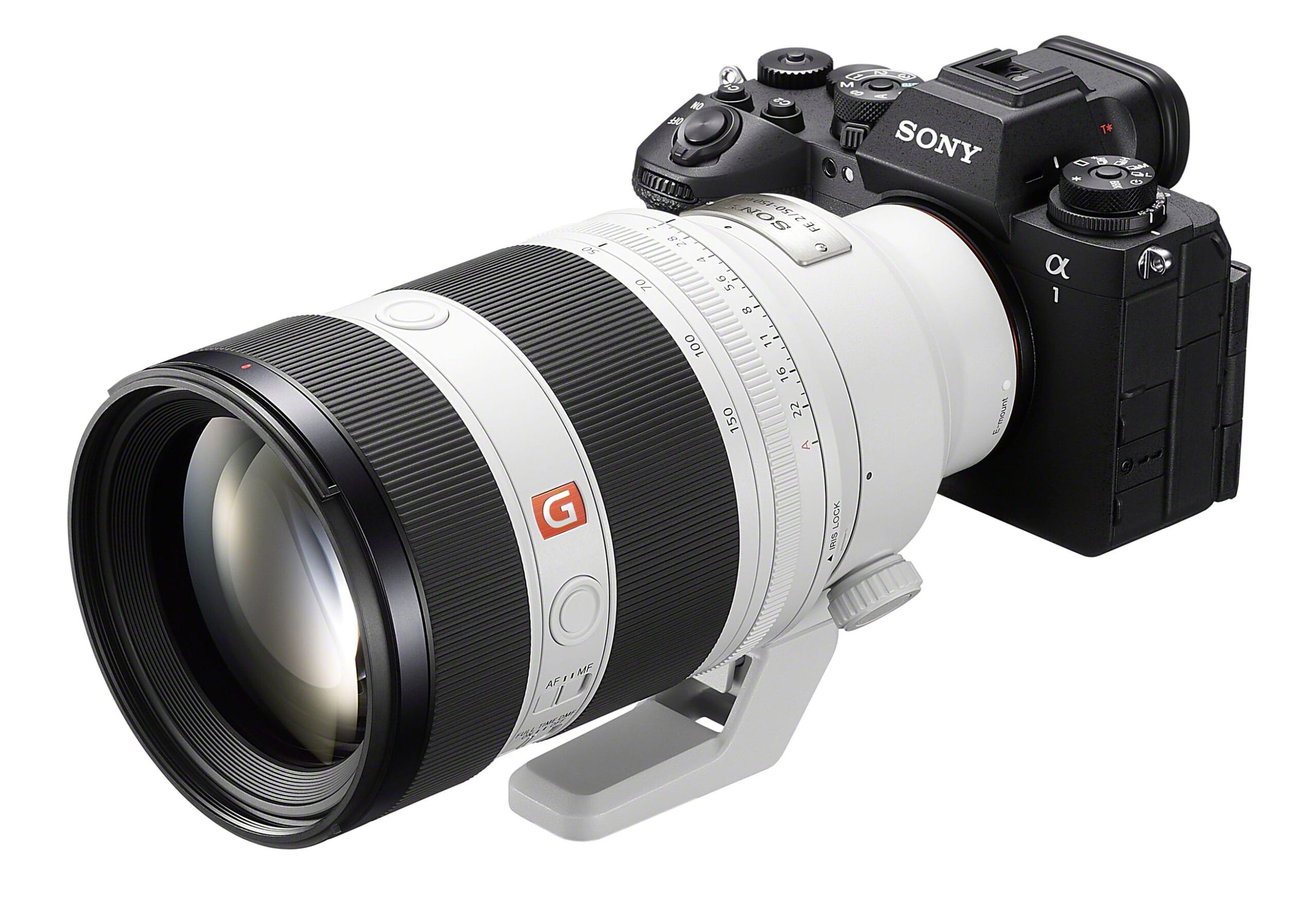 Sony FE 50-150mm F2 GM - Lo Zoom Perfetto Per Il Ritratto